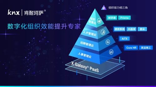 宇培集團(tuán)攜手肯耐珂薩，共創(chuàng)人力資源數(shù)字化時(shí)代